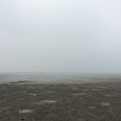 Ocean (Part4), experimetal ambient