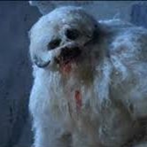 012 LARGE WAMPA