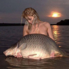 #новыйвагиль