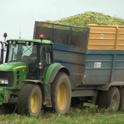 kakashi double a and bagi munda