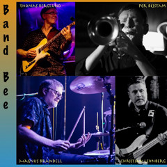 Högt liv / Tee Bee Project (Band Bee)
