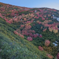autumn.mp3