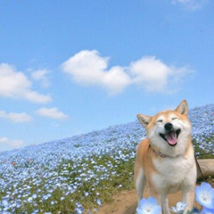 blue flower (Prod. @harui x @prodriki)