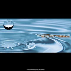 Chapter 4 - Aluna And The Water Of LIfe Mix