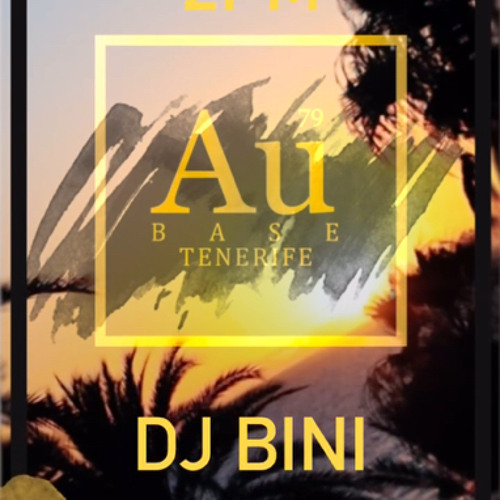 Bini´s Top Hit´s 2024 Mix 1.mp3