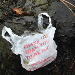 plastic bags