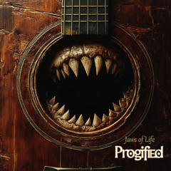 Jaws of Life (Arrangement by Thiago Campos and Rod Calcagno) | John Petrucci Cover