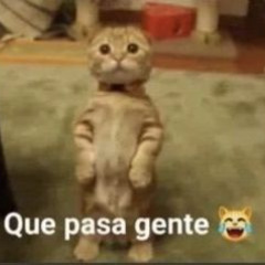 MENEA TU CHAPA 2