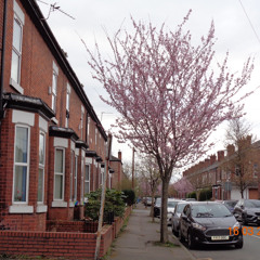 oceans apart (wip) - 23/03/2025