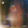 DIM313 - Penelope DJ mix artwork - Electronic music tracklist cover image