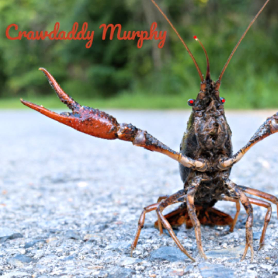 Stream Caleb Mill | Listen to Crawdaddy Murphy playlist online for free ...
