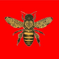 Hallucinations | Candyman OST Trap Beat | FREE DOWNLOAD