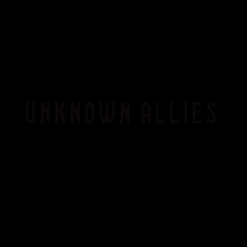Unknown Allies