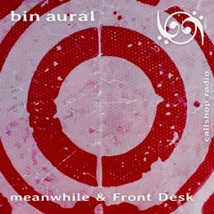 bin aural #9 w/ meanwhile 19.03.24