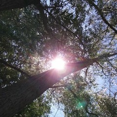 summer two thousand twenty