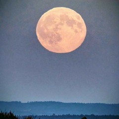 227. Vollmond - 08.11.25, 11.00.mp3