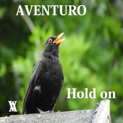 AVENTURO - Hold On