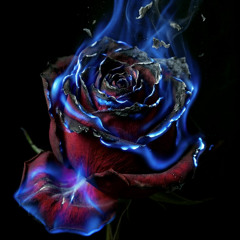 Set the Fire (The Midnight Session)