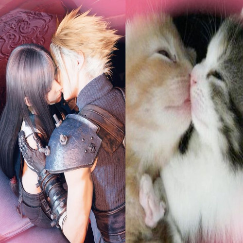 yellow lily (jannah)