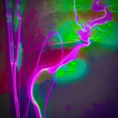 Live Recording at Club Era (Durham, NC 9.05.2025)