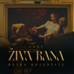 živa rana ali drill