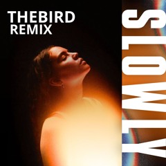 Rani, AVAION - Slowly (Thebird remix) SUPPORT BY CHARLES B - FREE DOWNLOAD