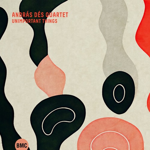 András Dés Quartet – Unimportant things