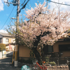 ƯỚC NGUYỆN ĐẦU XUÂN LOFI VER  Tina Hồ