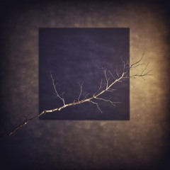 ارغوان - هوشنگ ابتهاج