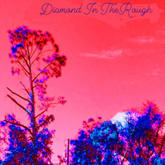 Diamond In The Rough