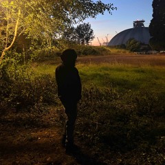 molly prod.pitsearches.wav