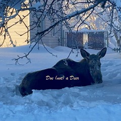 Doe (not) A Deer