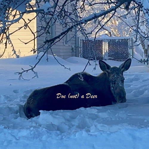 Doe (not) A Deer