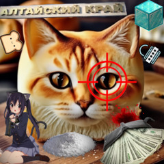 meth cat (prod. twotor)