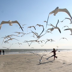 A Flock Of Seagulls - I Ran (Stefan Biniak 2025 Remix)