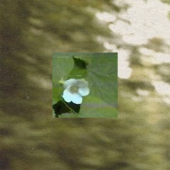 Favourite Memories(Wildfire)[ft. Bella Renee]