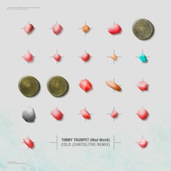 Timmy Trumpet - Cold (Cantolitre Remix)