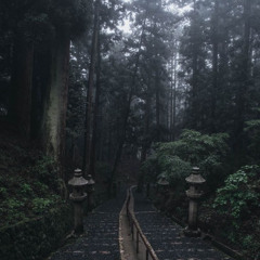 aokigahara 青木ヶ原 (prod. akkiru1)