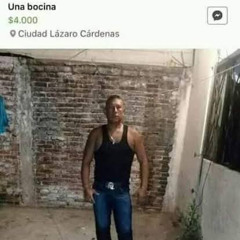 BUSCATE LA VIDA
