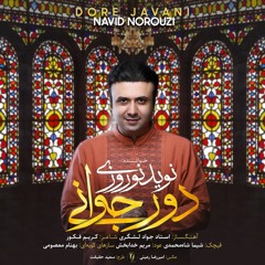 DORE JAVANI by Navid Norouzi | دور جوانی با صدای نوید نوروزی