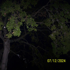 it's cold in the winter (demo)