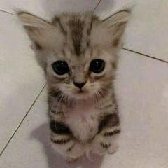 вдох и сдох>>>>>>>>