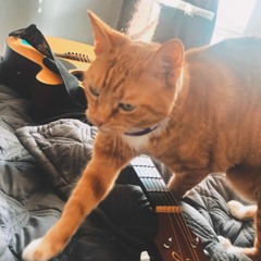 Leave Nothing Unsaid