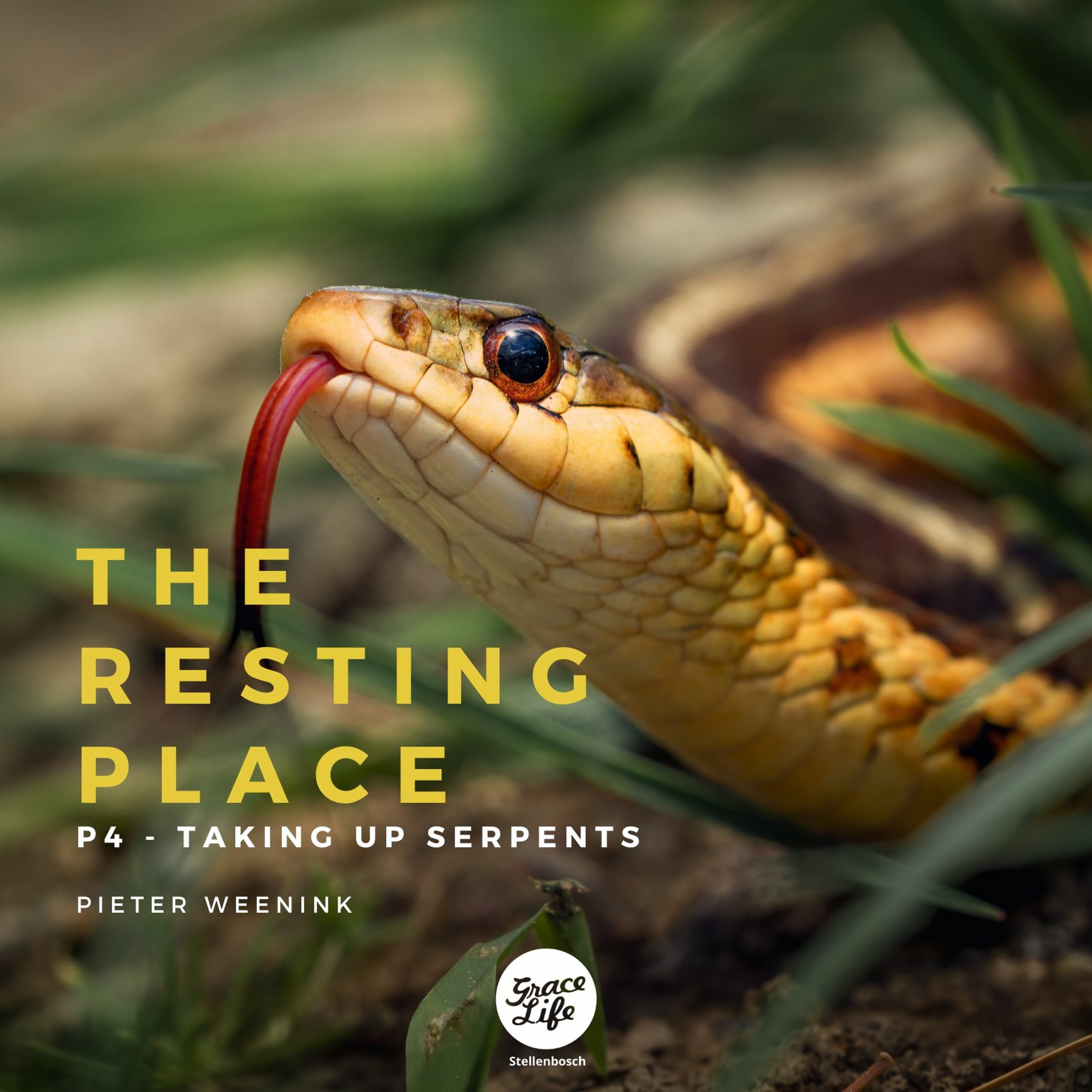 The Resting Place - Part 4 - Taking Up Serpents - Pieter Weenink(Stellenbosch)