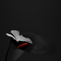 The beauty of darkness