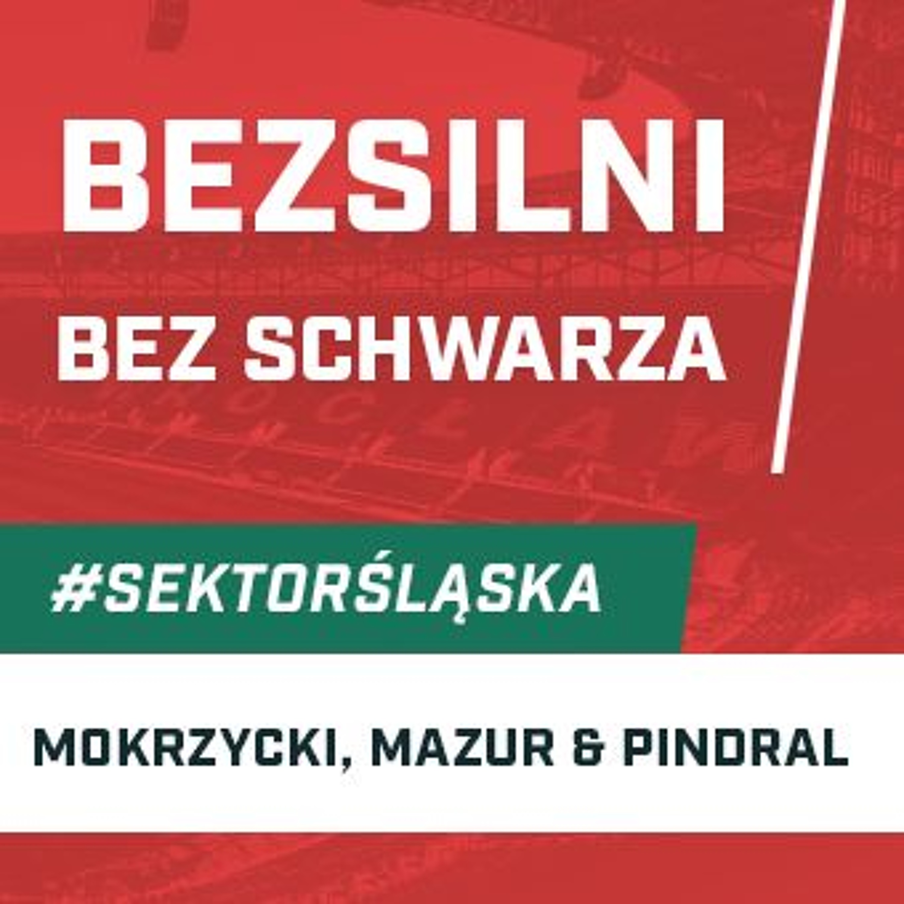 Śląsknet
