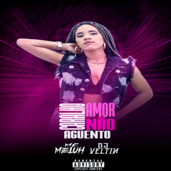 CARALHO AMOR NÃO AGUENTO - MC MELUH - DJ VELTIN