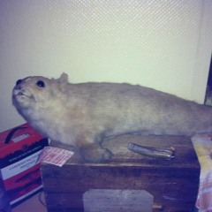 If you like shouting and fart noises