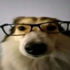 угадай мем видео с ютуба 09