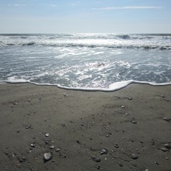 Asher by the Sea